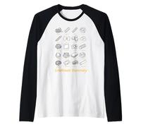 Festeggia la diversità Divertente Italiano Orgoglioso Italia Pasta Maglia con Maniche Raglan