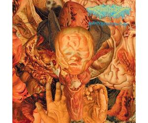 Festerdecay - Reality Rotten To The Core