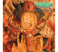 FesterDecay Reality Rotten to the Core (Vinyl LP) 12" Album