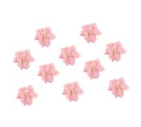 FESTFENDS 10 Pezzi Carta Crespa Rosa Decorazione e Leggera per Pareti e Arredamento Casa per Feste e Matrimoni