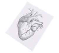 FESTFENDS Quadro Anatomico Poster di Anatomia Pratico Caratteri Facili da Leggere su Tela in Fibra Chimica Cuore Umano Decorazione per Casa e Scuola per Studenti e Pazienti