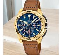 Festina F20728/1