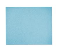 Festool Carta abrasiva 230x280 P100 GR/50, Granato Quantità:10