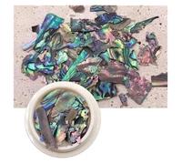 Fette di conchiglia di abalone irregolari, Abalone Shell strass decorazioni for unghie TCST2014A irregolare 10g(TCST2027 10g)