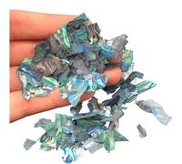 Fette di conchiglia di abalone irregolari, Decorazione for unghie in gel con fette di conchiglia di abalone irregolare da 100 g(8)