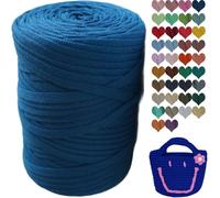 Fettuccia per Borse a Uncinetto, 400g Filato di Poliestere per Uncinetto, Filo Uncinetto Grosso per Borse/Cestini/Tappeti all'Uncinetto, Fai da Te, Decorazioni, Artigianato(Colour 17,1 Roll(400g))