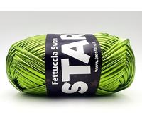 fettuccia SWAN STAR per realizzare borse handmade, filato leggero e resistente da 100g x 40m colorazioni cangianti, prodotto 95% polyestere e 5% spandex (fettuccia, verde brillante - 13)