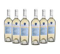 Feudo Apuliano Verdeca del Salento IGP, Vino Bianco dal Profumo di Frutta Gialla, Gusto Morbido e Fresco, 12% Vol, Confezione con 6 Bottiglie da 750 ml