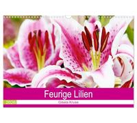 Feurige Lilien (Wandkalender 2026 DIN A3 quer), CALVENDO Monatskalender: Verschiedene Lilienarten versprühen ein Feuerwerk der Farben
