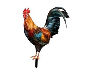 FewNvWa Cartello Decorativo a Forma di Giardino, Ideale per L'arredo Urbano E