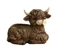 FewNvWa Vaso da Fiori a Forma, con Foro di Drenaggio, Ideale Come Regalo per Donne E Mamme.