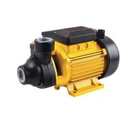 FF-Group VWP 1000 da 1000W elettropompa volumetrica di superficie