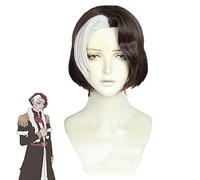 FF14 FFXIV Emet-Selch Parrucca cosplay sintetica per capelli sintetica resistente al calore corta in argento riccio marrone