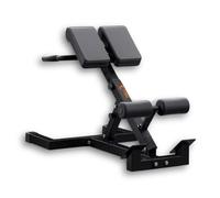 PANCA ROMANA PER LOMBARI SCHIENA ADDOMINALI PER IPERESTENSIONI E DORSALI CHAIR