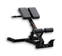 FFitness Panca Sedia Romana Multifunzione Iperestensioni Crunch Tricipiti Dips Inclinazione Altezza Regolabile Richiudibile