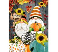 FFWTPY Kit Di Mosaico Autunnale Per Bambini E Adulti Set Di Pittura Diamante Con Tela Impermeabile Arte E Artigianato Fai Da Te Decorazioni Per La Casa Gnomi E Zucche 5d Diy Diamond Painting Kit