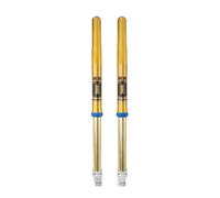 FFX1302 - Forcella Anteriore Öhlins RXF 48 MX&Enduro Beta RR 2T 125 (19-23)