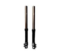 FG631 - Forcella anteriore universale Öhlins Retro 43