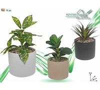 FGF IMPORT EXPORT L. M PIANTA C/Vaso 12x12x20cm 97268, Come da Foto