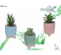 FGF IMPORT EXPORT L. P PIANTA C/Vaso 8x8x15cm 97107, Come da Foto