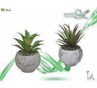 FGF IMPORT EXPORT L. P PIANTA C/Vaso 9x9x15cm 97213, Come da Foto