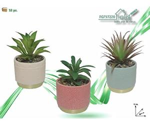 FGF IMPORT EXPORT L. P PIANTA C/Vaso 9x9x15cm 97220, Come da Foto