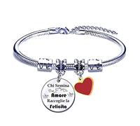 FGHJK Bracciale Donna Braccialetto per Mamma Zia Sorella Nonna con Ciondolo In Acciaio,Chi Semina Amore Raccoglie la Felicita Misura regolabile Incisione Argento Braccialetto