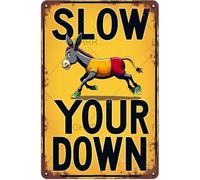 FGHRR Targa in metallo con scritta "Slow Your Down Donkey Running", da parete in metallo arrugginito, stile retrò, idea regalo, per bar, club, ufficio, negozio, cortile, garage, 30,5 x 20,3 cm