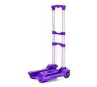 FGJdfhET carrello della spesa, Carrello pour Lo Shopping E I Viaggi Dei Bagagli R(Purple)
