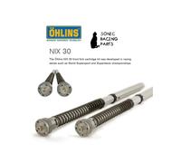 FGK 217 CARTUCCIA OHLINS NIX 30 + MOLLE SUZUKI GSX-R 600 - 2011 2016