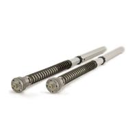 FGK204 - Cartucce Ohlins NIX30 720 Honda CBR600RR (07-12)