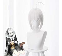 FGO Lord El-Melloi II-sei No Jikenbo Parrucca Cosplay grigia Fate Grand Order Grigio El-melloi Archisorte Gurei Parrucche anime Perucas KUZZ235DD