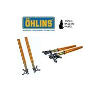 FGR 400 OHLINS FORCELLA ORO COMPLETA 43 RR SBK SUPERBIKE