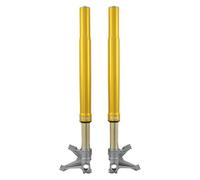 FGR260 - Öhlins FGR 250 USD Forcella anteriore Racing Universal