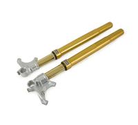 FGRT218 - Forcelle Frontali Ohlins FGRT200 tubo esterno oro BMW R nineT (14-16)