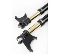 FGRT301 - Forcelle Frontali Ohlins FGRT200 Ducati Diavel (11-17)