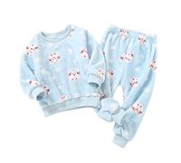 FGUUTYM Pigiama da notte per bambini e bambine, invernali, a maniche lunghe, con stampa a cartone animato, in pile, 2 pezzi, Azzurro, 12-18 Monate