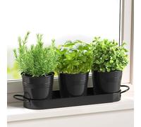 FGXY Set di 3 vasi in metallo con vassoio per erbe aromatiche, Mini Cactus Succulento Vaso, Crepa di Ghiaccio Fiori Piantatore, Per interni, Davanzali e Balconi, Coltiva Le Tue Erbe Per La Cucina-Nero