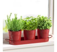 FGXY Set di 3 vasi in metallo con vassoio per erbe aromatiche, Mini Cactus Succulento Vaso, Crepa di Ghiaccio Fiori Piantatore, Per interni, Davanzali e Balconi,Coltiva Le Tue Erbe Per La Cucina-Rosso
