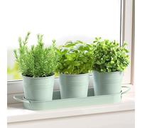 FGXY Set di 3 vasi in metallo con vassoio per erbe aromatiche, Mini Cactus Succulento Vaso,Crepa di Ghiaccio Fiori Piantatore,Per interni, davanzali e balconi,coltiva le tue erbe per la cucina-verde
