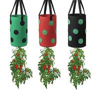 FGYZYP - Borsa per coltivare pomodori e fragole, 3 pezzi, multicolore a testa in giù, con 12 fori per la coltivazione e il manico, per coltivare pomodori, peperoncino, fragole, frutta, casa, giardino