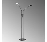 FH Lighting Piantana LED Lunia, 2 luci, nero sabbia FH Lighting