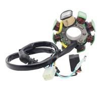 FHASDBNOY Bobina dello statore Elettrico del Motore della Motocicletta Discover 135 Compatibile con i ricambi AC a 8 Poli