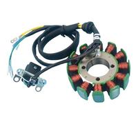 FHASDBNOY Bobina statore Magneto Compatibile con Estator RT 200 Ex RT200 EX200 E05010007 88MM 12 Poli