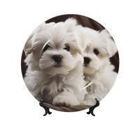 FHEDVBN Piatto decorativo per esposizione, simpatico cucciolo maltese in porcellana Bone China piatto decorativo da 25,4 cm, piatto piano in ceramica con supporto, ornamenti da appendere alla parete