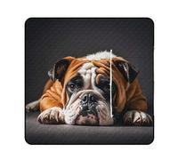 FHESDCW A Sad Bulldog coperta da picnic con borsa tote con cerniera, coperta portatile impermeabile per esterni, leggera e pieghevole, tappetino per spiaggia, campeggio, parco, 150 x 150 cm