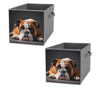 FHESDCW A Sad Bulldog - Scatola portaoggetti pieghevole con manici, in tessuto Oxford resistente, 2 pezzi, organizer pieghevole per armadio, per casa, scaffale, ufficio, viaggi