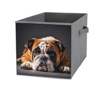 FHESDCW A Sad Bulldog Scatola portaoggetti pieghevole con manici, resistente Oxford, 1 organizer pieghevole per armadio, per casa, scaffale, ufficio, viaggi