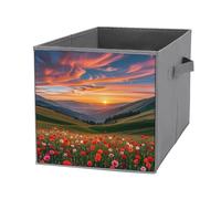 FHESDCW Cloud Garden at Sunset Scatola portaoggetti pieghevole con manici, cubi portaoggetti Oxford resistenti, 1 organizer pieghevole per casa, scaffale, ufficio, viaggi