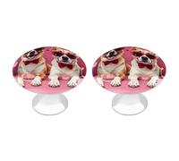 FHESDCW Confezione da 2 pomelli per armadietti in acciaio inox con viti, cani che indossano occhiali da sole, facili da installare, moderni per cucina, bagno, comò
